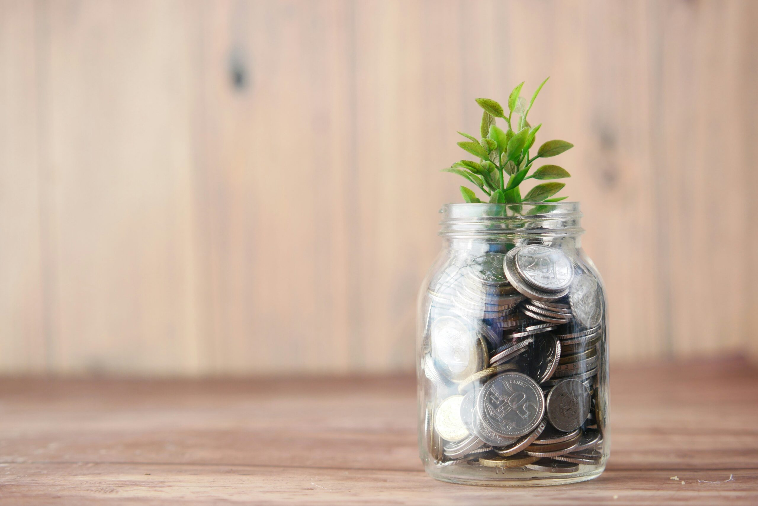 Graph showing Sarah's savings growth over six months
